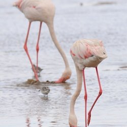 Southern Africa
